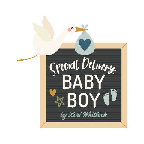 Special Delivery Baby Boy