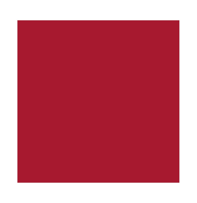 Cricut Joy Xtra Vinilo Smart Permanente 24,1 x 91,4 cm Rojo