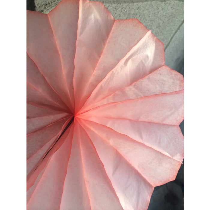 Paper Fan Coral 11''