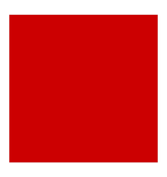Cricut Joy Encre Infusible 2x Rouge Cerise