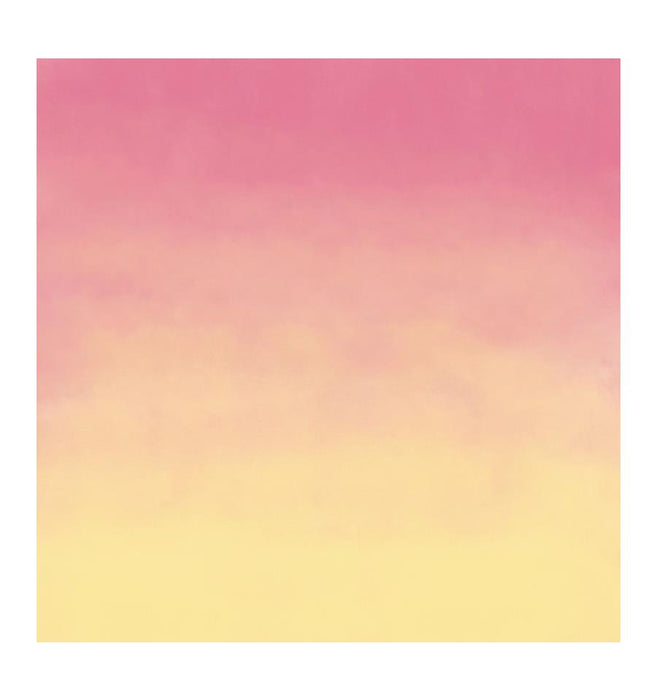 Cricut Joy Infusible Ink 2x Pink Lemonade