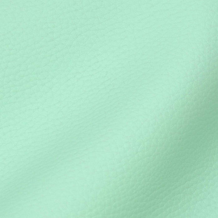 Eco-leather Pastel Green