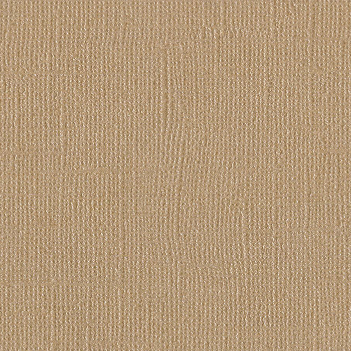 Check Textured Pearlized Cardboard