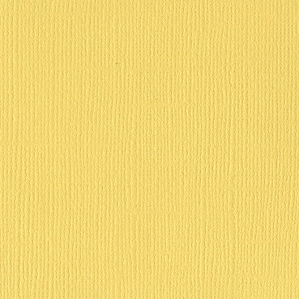 Textured Cardboard Lemonade Canvas