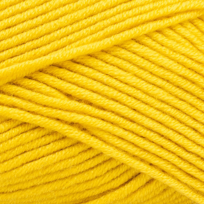 Skein The Hook Nook Main Squeeze Worsted 100 gr. Mustard Yellow